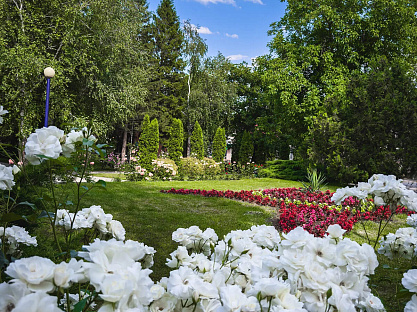 Санаторий «Лесной», Железноводск. Территория